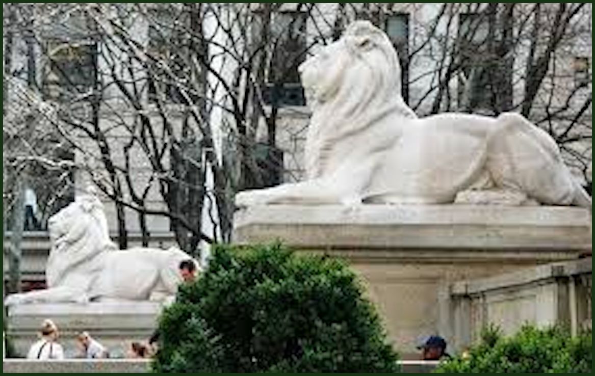 New York Public Library
                      Lions